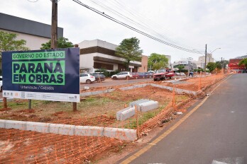 Canteiro central da Avenida Amapá passa por revitalização