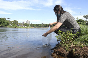 Nova soltura de peixes completa ação de repovoamento dos lagos municipais
