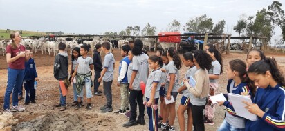 Estudantes visitam confinamento de gado como atividade do Projeto Agrinho
