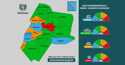Dengue já está em 44 bairros de Umuarama; mais três regiões entram em situação de alerta